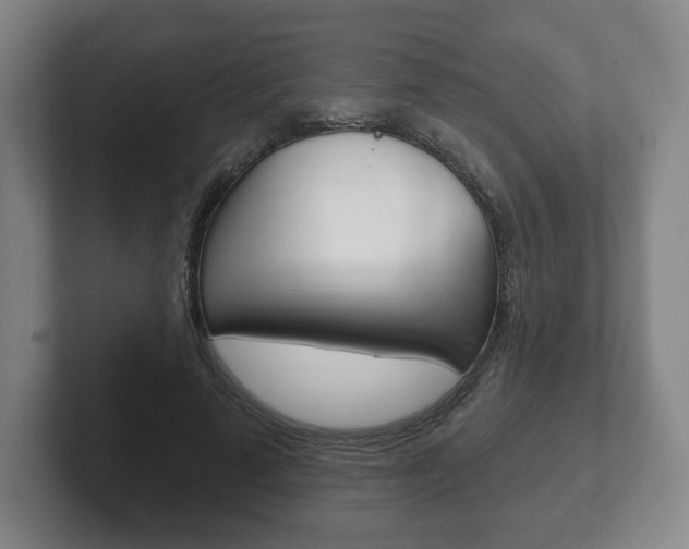 X0000102280689200807250941