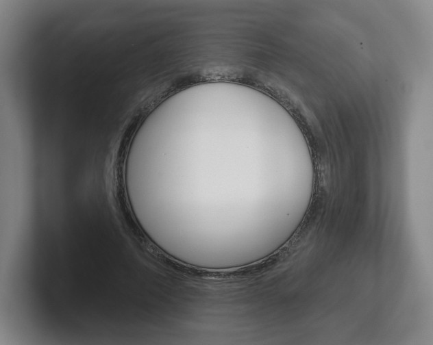 X0000102280690200807250941