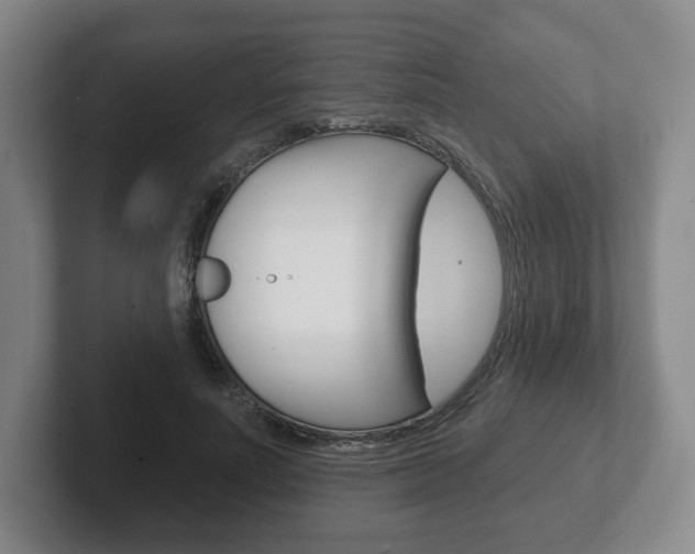 X0000102280691200807250941