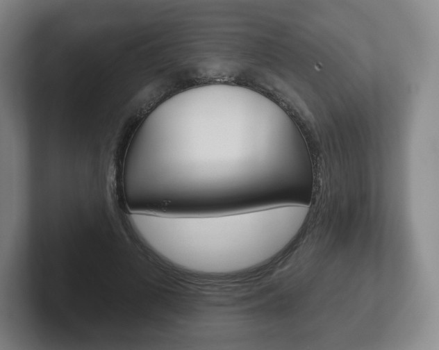 X0000102280693200807250941