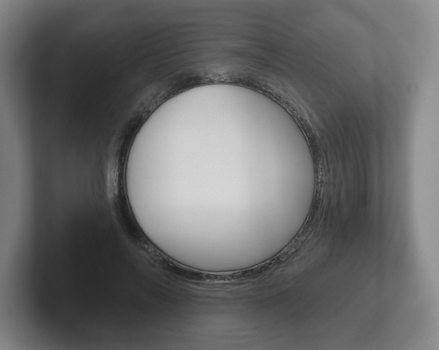 X0000102280694200807250941