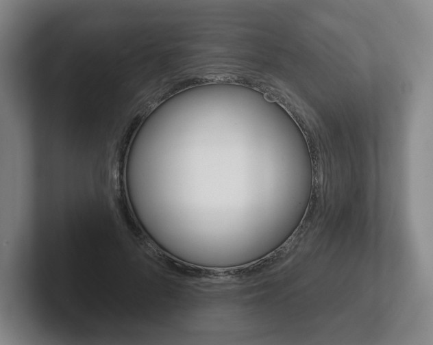 X0000102280696200807250941