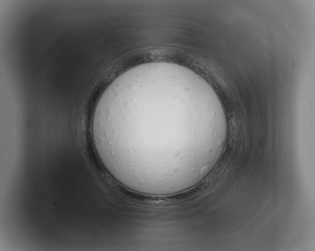 X0000102280698200807250941
