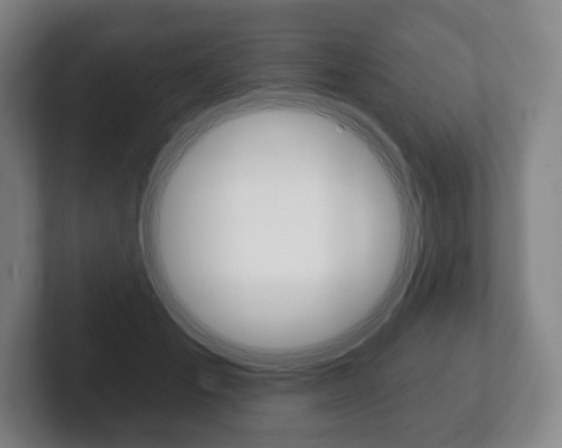 X0000102280701200807250941