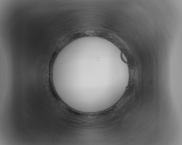 X0000102280702200807250941