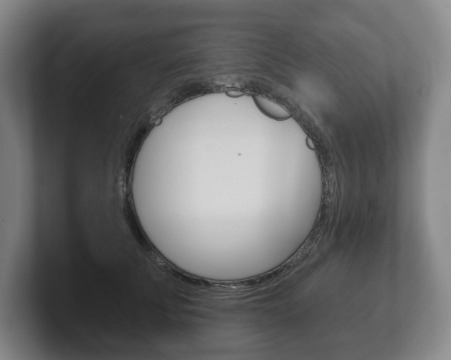 X0000102280707200807250941