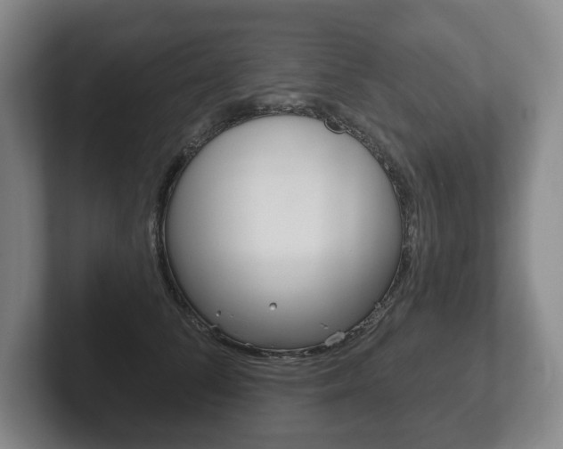X0000102280708200807250941