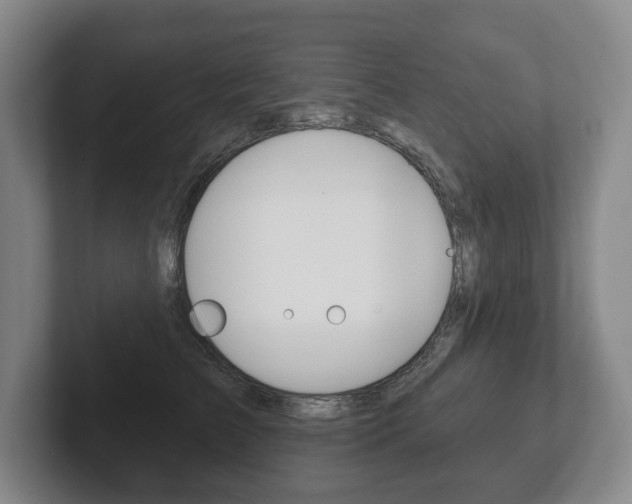 X0000102280709200807250941