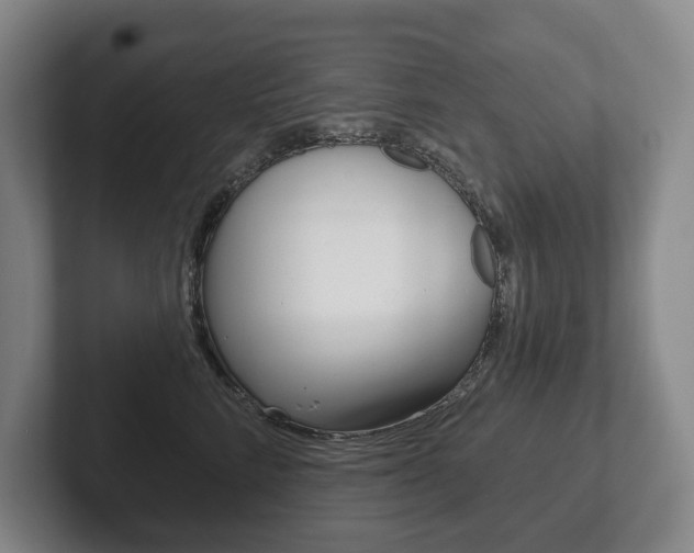 X0000102280712200807250941