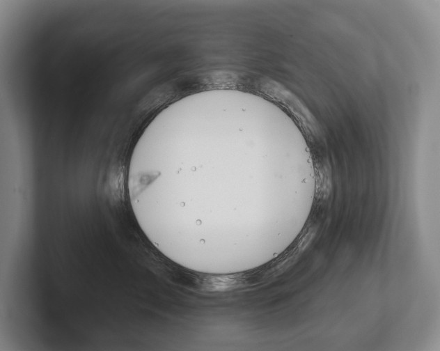 X0000102280717200807250941