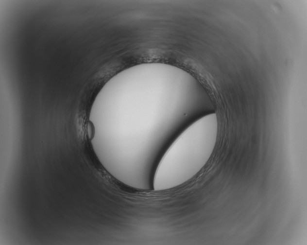 X0000102280719200807250941