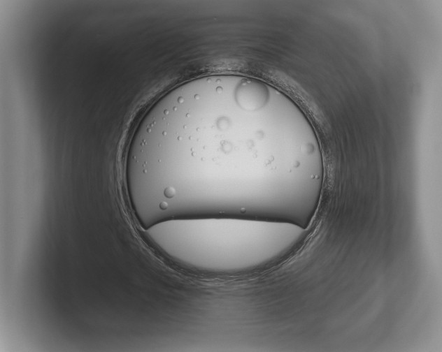 X0000102280721200807250940