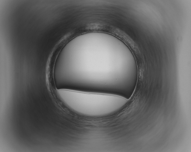 X0000102280724200807250940