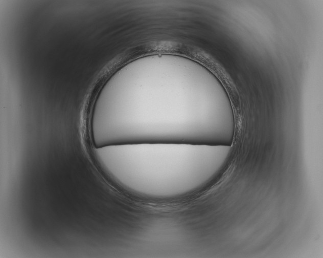 X0000102280725200807250940