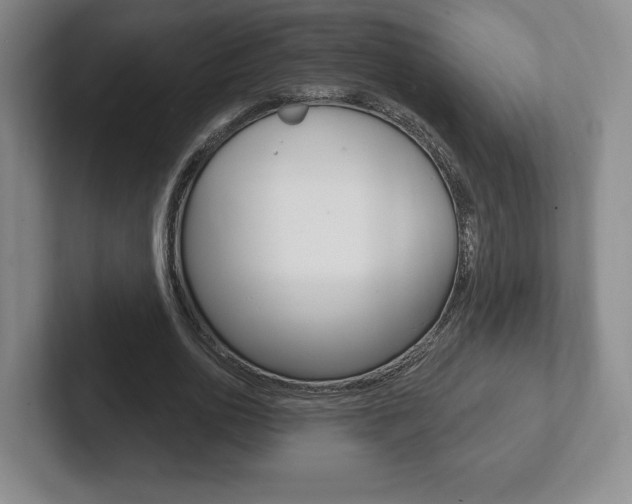 X0000102280726200807250940