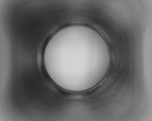 X0000102280729200807250940