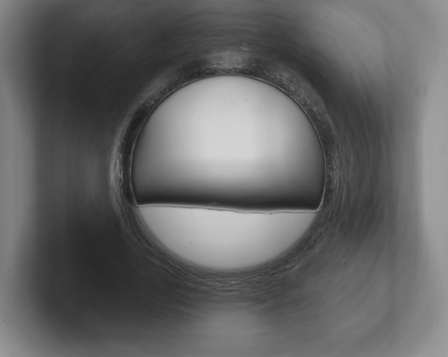 X0000102280731200807250940