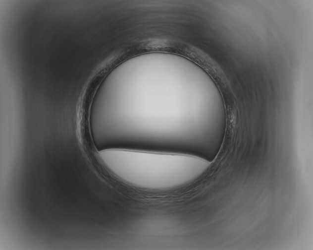 X0000102280732200807250940