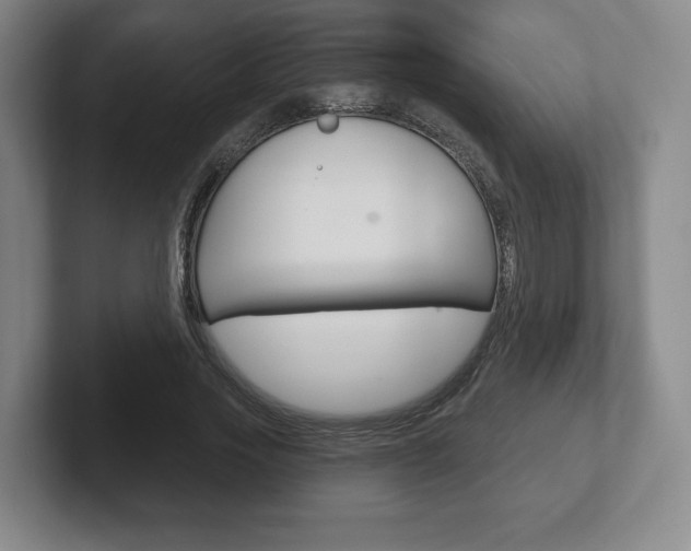 X0000102280733200807250940