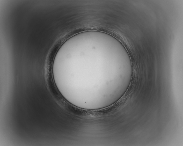 X0000102280736200807250940