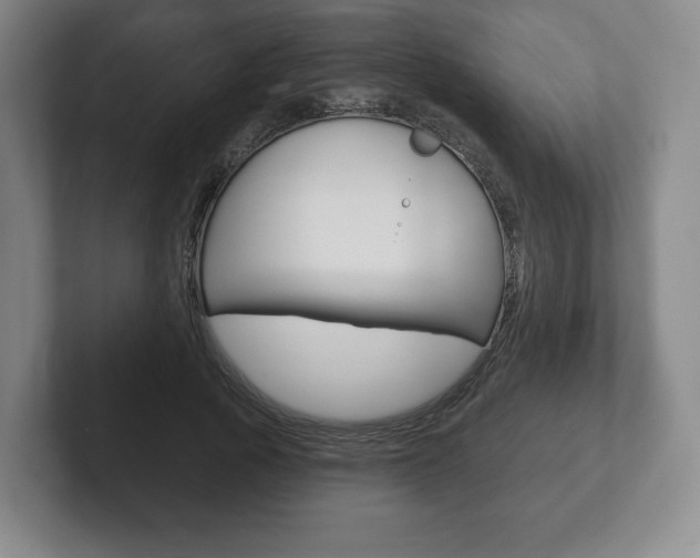 X0000102280737200807250940