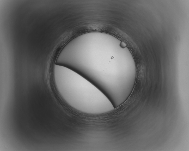 X0000102280738200807250940