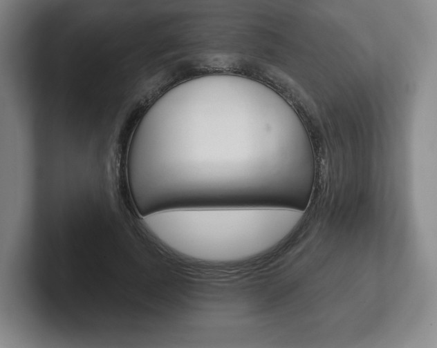 X0000102280739200807250940