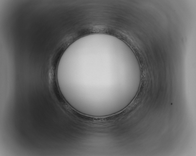 X0000102280744200807250941
