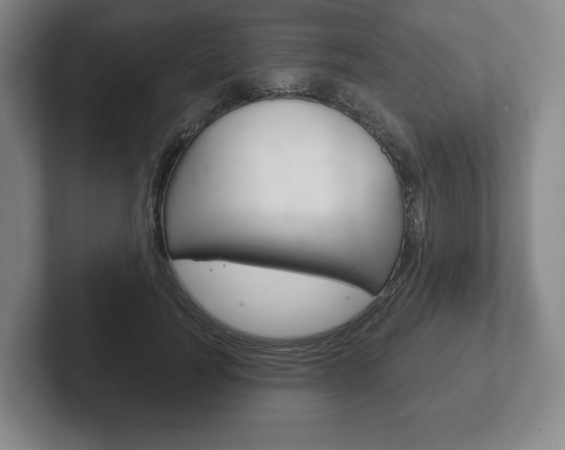 X0000102280746200807250941