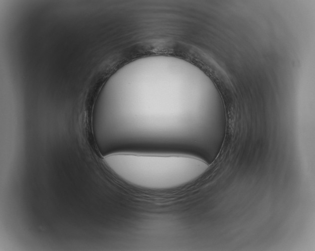 X0000102280748200807250941