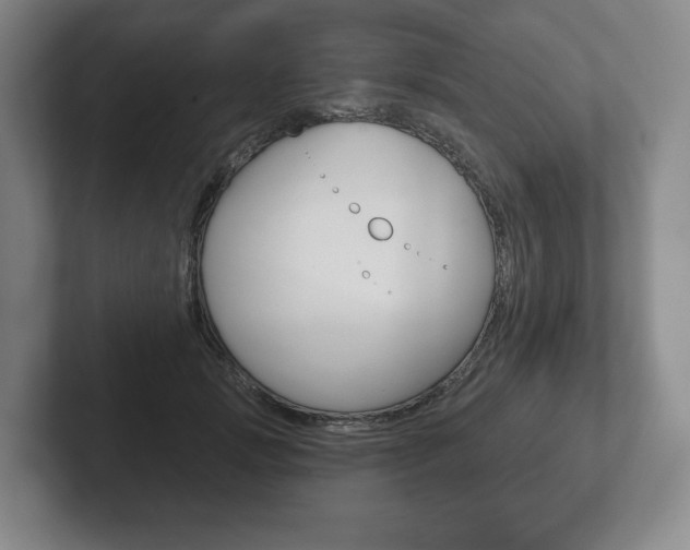 X0000102280749200807250941