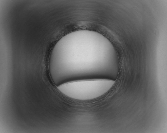 X0000102280751200807250941