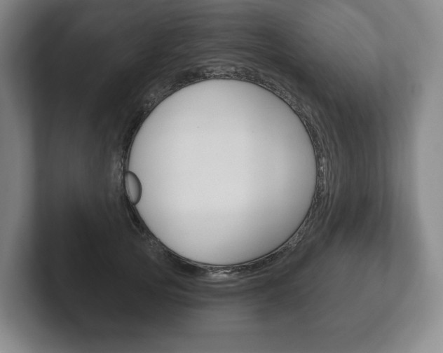 X0000102280753200807250941
