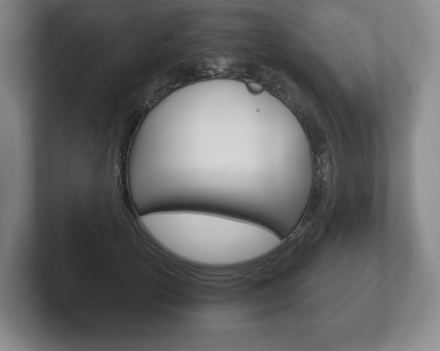 X0000102280754200807250941