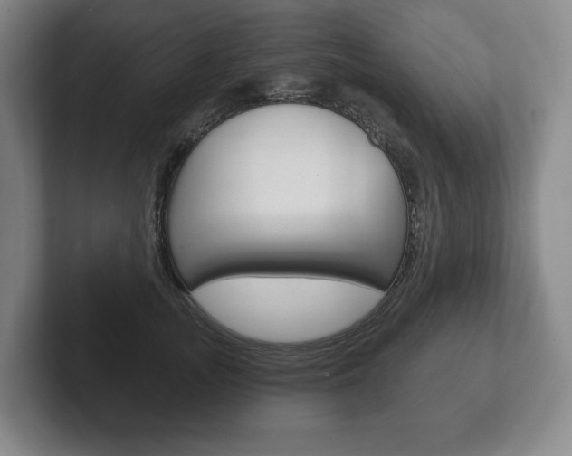 X0000102280755200807250941