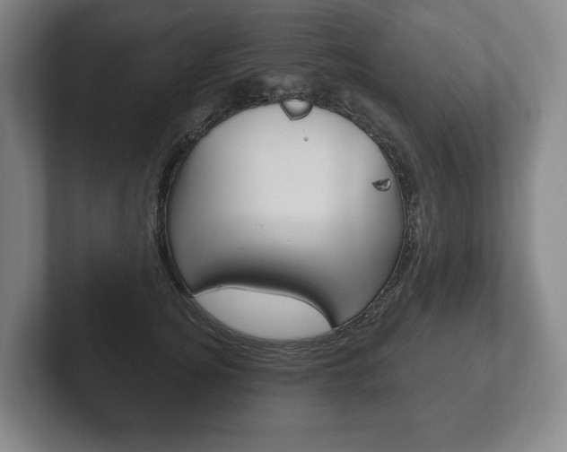X0000102280756200807250941