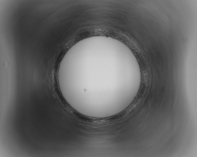 X0000102280757200807250941