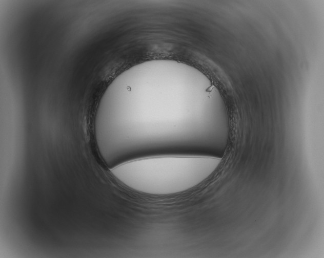 X0000102280759200807250941