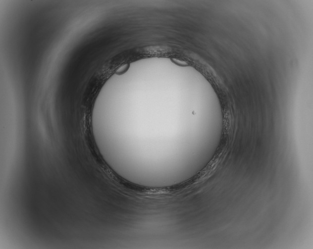 X0000102280762200807250941
