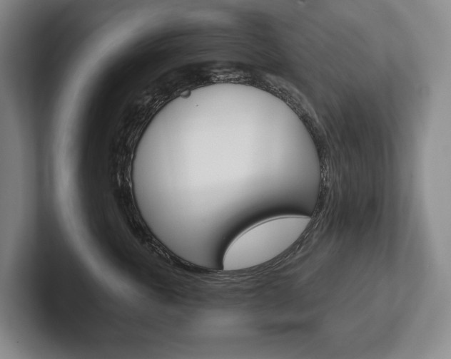 X0000102280763200807250941