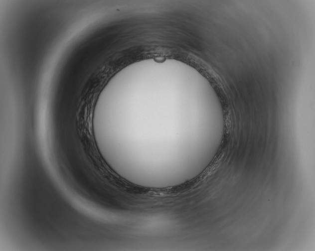 X0000102280764200807250941