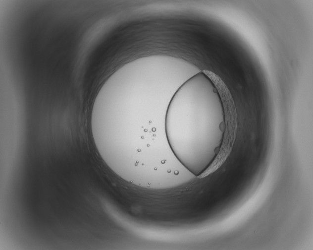 X0000102280766200807250941