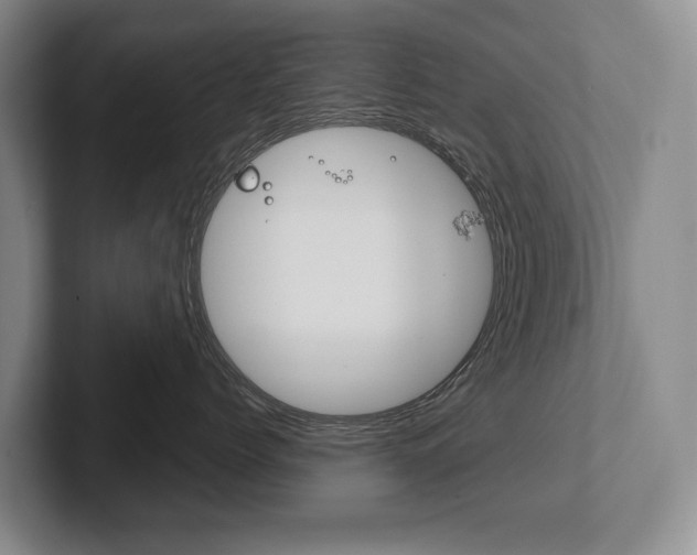 X0000102280768200807250941