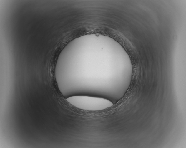 X0000102280770200807250940