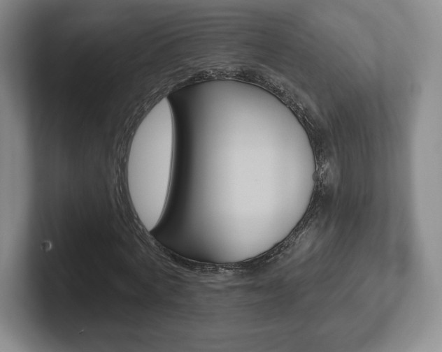 X0000102280772200807250940