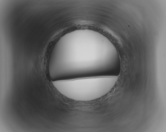 X0000102280775200807250940