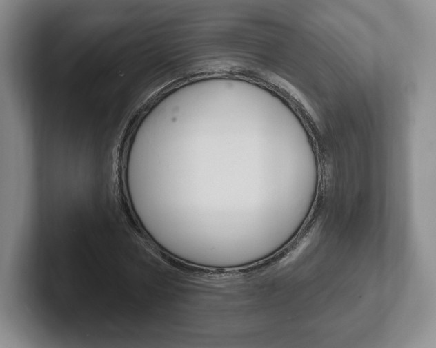 X0000102280778200807250940
