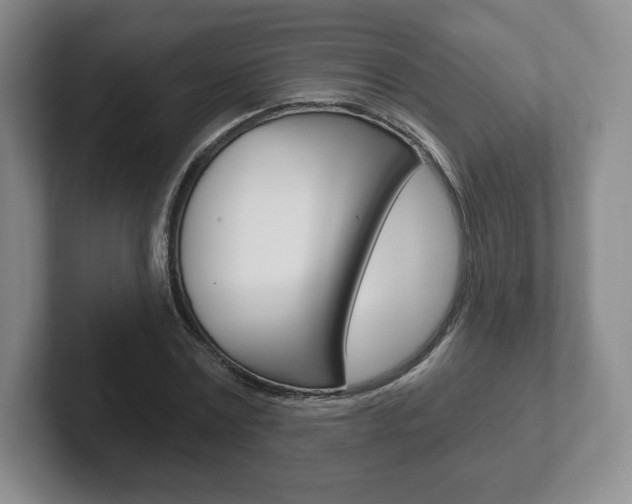 X0000102280779200807250940