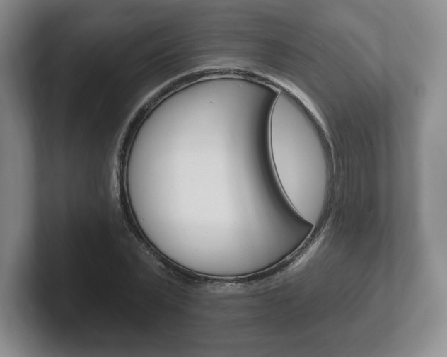 X0000102280783200807250940