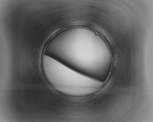 X0000102280786200807250940